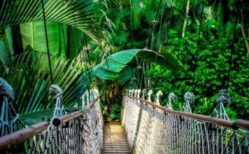 Ile trwa kurs na spycharkę?