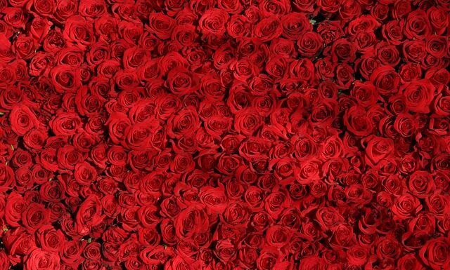 Czym się różni Ława od fundamentu?