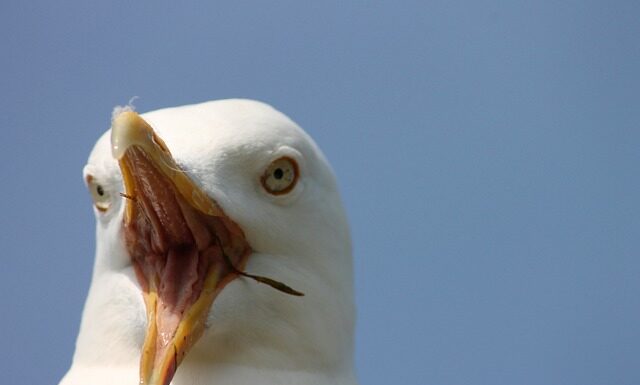 Kiedy kierownicą w samochodzie się blokuje?