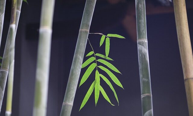 Czym się różnią generacje LPG?