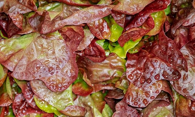 Czy można kroić nożem na stolnicy silikonowej?