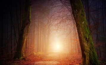 Jakie oświetlenie dla DJ?