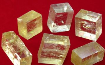 Jak wyglądają przelane pomidory?