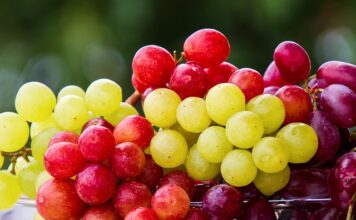 Ile wody i cukru na 10 kg winogron?