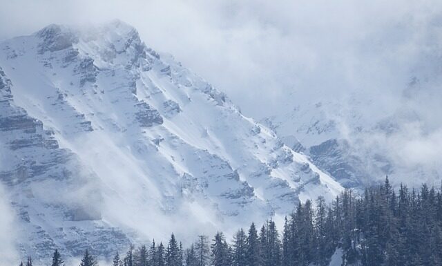 Co ile przegląd drabiny?