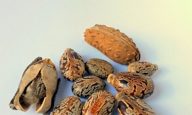 Ile oleju do wiskozy?