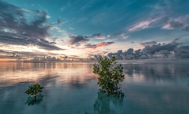 Jaka ława do narożnika?
