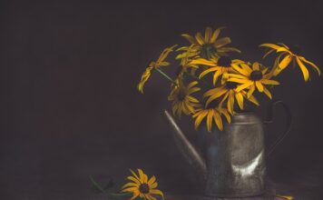 Kiedy włączyć podlewanie automatyczne?