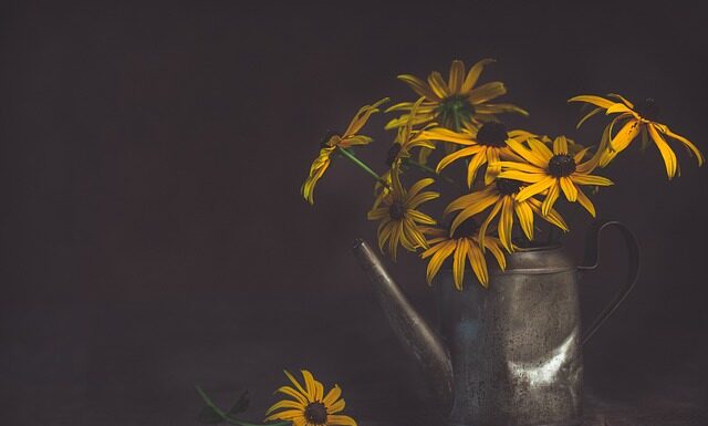 Kiedy włączyć podlewanie automatyczne?