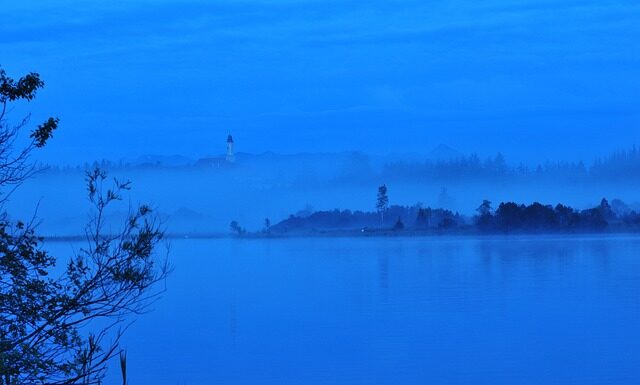 Ile kosztuje wykopanie stawu 1000m2?