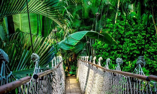 Ile trwa kurs na ładowarki?