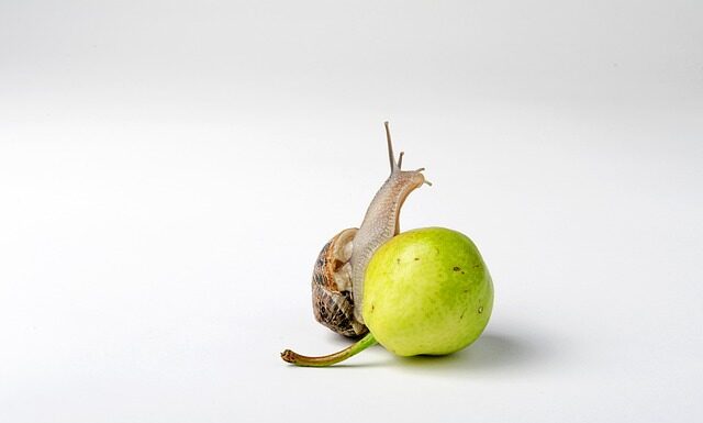 Co jest lepsze wiskoza czy poliester?