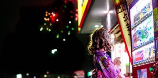 Jaki wybrać automat do bramy?