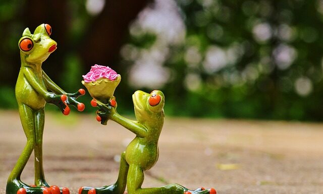 Ile kosztuje OC na quada?