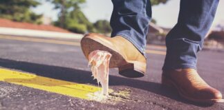 Ile czasu może stać klej do tapet?