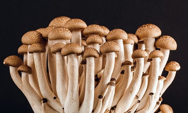 Ile miejsca potrzeba na jadalnie?