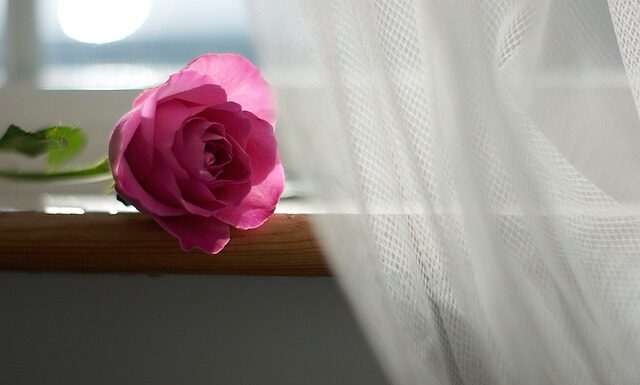 Jakie firanki do szarych ścian?