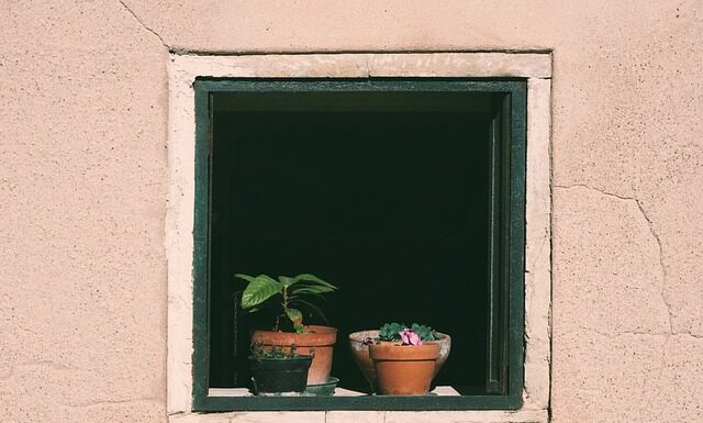 Jak podlewać rośliny w szklarni?