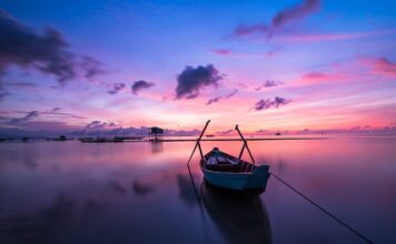 Jaki kolor zasłon pasuje do szarej kanapy?