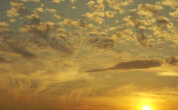 Czy można pić mętne wino?