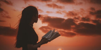 Holiday Park & Resort